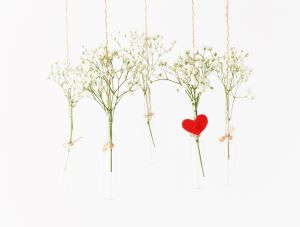 Five test tubes hang on thin threads from above into the picture. They are filled with small white flowers. One is decorated with a big red heart