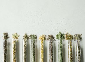 8 tubes à essai couchés, dont seule la partie supérieure est visible, tous remplis d'herbes et de thés différents, la moitié dans le verre, l'autre moitié à l'extérieur